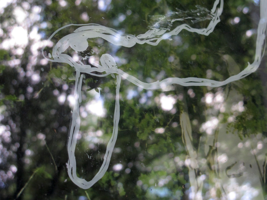 daylight June 16 2020