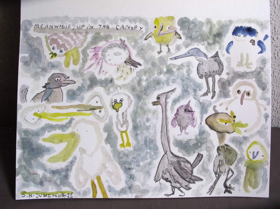 meanwhile, up in the canopy