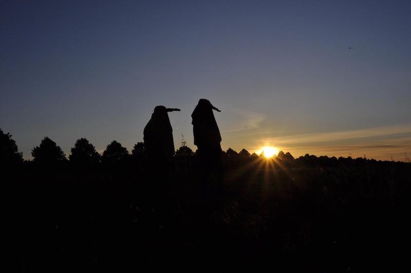 sunsetting feat cs+dk by fb